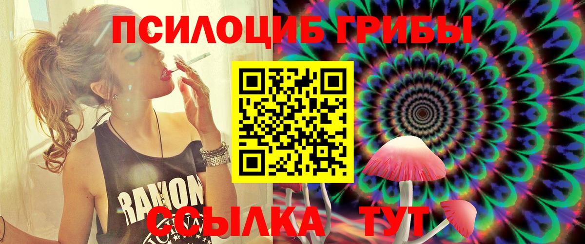 Псилоцибиновые грибы Cubensis  Галлюциногенные грибы GOLDEN TEACHER  Зеленокумск  где продают наркотики  Вход с VPN 